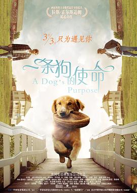 在线观看亚洲